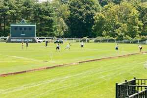 Teams, Register Now For Annual Greenwich Wiffle Ball Tournament
