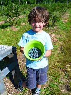 Aspetuck Land Trust Plans Blueberry Adventure Hike For Kids In Easton