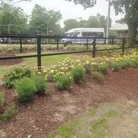 <p>Kennedy Park is lined with fences and flowers. The park is located in the center of one-way streets by the bus pulse point in downtown Danbury. </p>