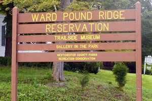 Supervisors Praise Fire Tower Plan For Ward Pound Ridge 