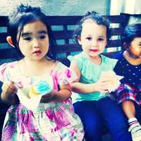 <p>Koala Park children enjoying locally purchased cupcakes from Eastchester.</p>