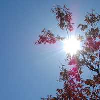 <p>Rain will give way to sun and mild temperatures over the holiday weekend. </p>