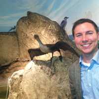 <p>Daniel Ksepka, curator of the Bruce Museum, announced on Monday the discovery of the world&#x27;s largest bird, a prehistoric species from about 25 million years ago.</p>