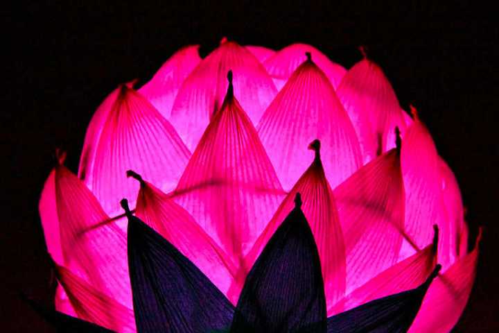 Make Lotus Lantern At Korean Cultural Program In West Milford