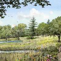 <p>A rendering of the proposed conservancy. </p>