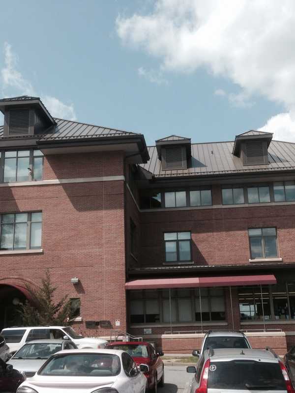 Kids Can Read To Therapy Dog At Mahopac Library