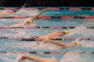 Wilton Wahoo Swimmers Take Top Honors In State Championship