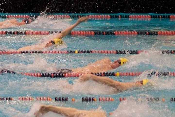 Wilton Wahoo Swimmers Take Top Honors In State Championship