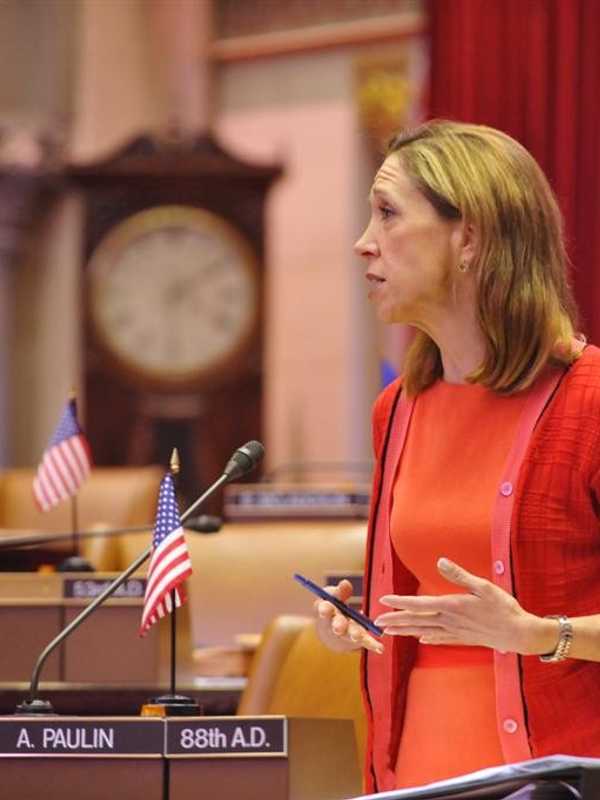 Lawmaker From Scarsdale Taking 100 Women To D.C. For Equality March