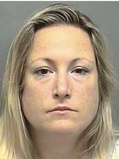 Darien Woman Charged With Dumping Syringes Found At Holmes School