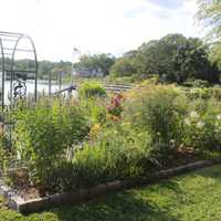 <p>Pinkney Memorial Garden has been revamped with the help from a donation from Nielsen&#x27;s Florist.</p>