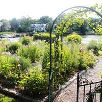 <p>Hurricanes damaged Pinkney Memorial Garden, but volunteers have put time and money into beautifying it.</p>