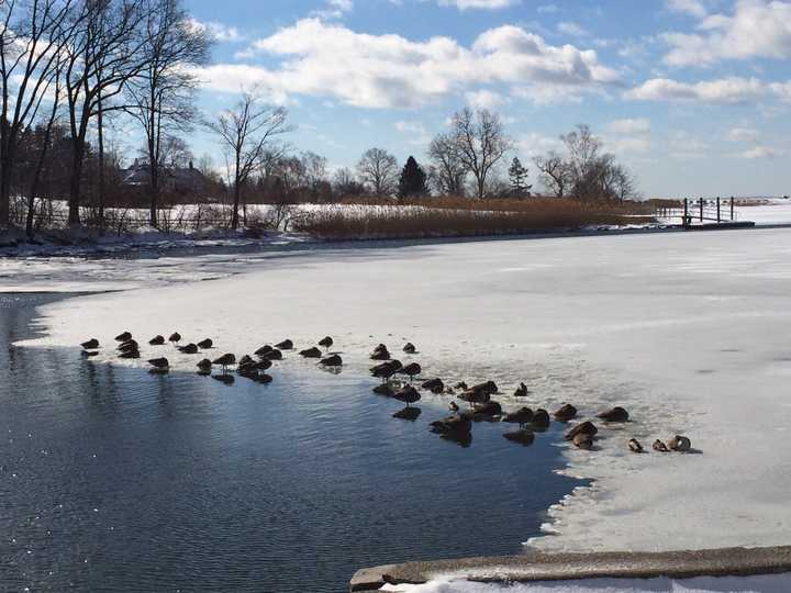 The polar vortex could return to Fairfield County in early September. 