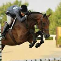 <p>Ridgefield&#x27;s Lainie Wimberly is one of the premier Hunter riders in the country. She owns Brigadoon Show Stables in North Salem.</p>