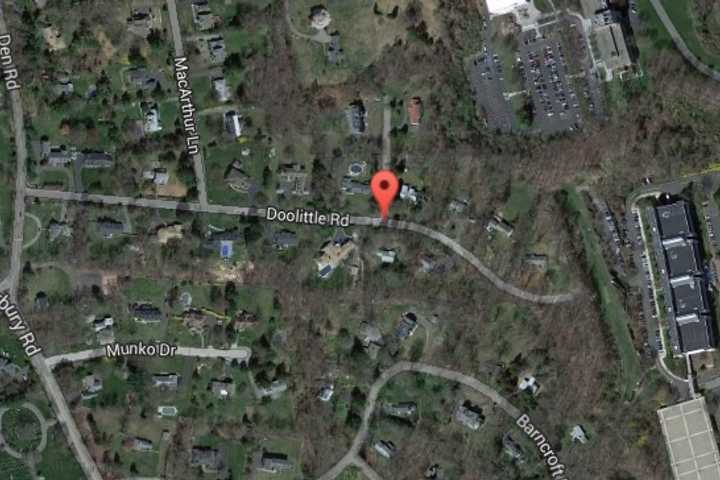 Taxi Driver Killed After Violent Struggle In North Stamford