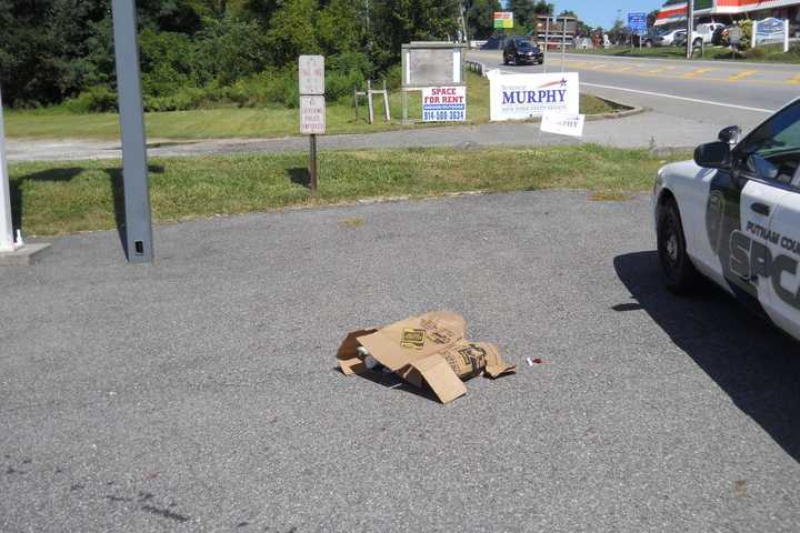 Chickens Apparently Mutilated, Dumped In Mahopac Parking Lot