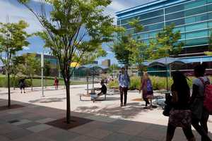 Purchase College-SUNY Earns Top  10 Ranking From Magazine