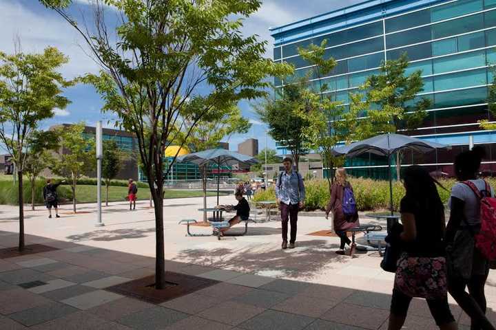 Purchase College-SUNY Earns Top  10 Ranking From Magazine