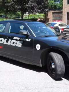 2-Year-Old Dies After Being Pulled From Chappaqua Pond