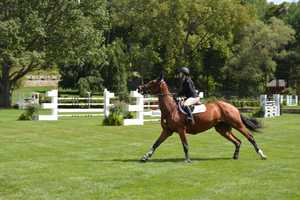 More Than 600 Horses Joining American Gold Cup In North Salem