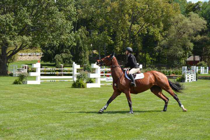 More Than 600 Horses Joining American Gold Cup In North Salem
