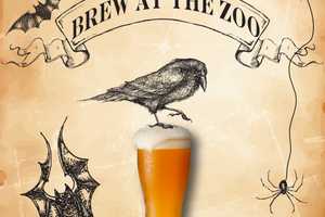 'Brew At The Zoo' Coming To Bridgeport In October