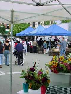 Down To Earth Market Screens Farming Documentary In Ossining