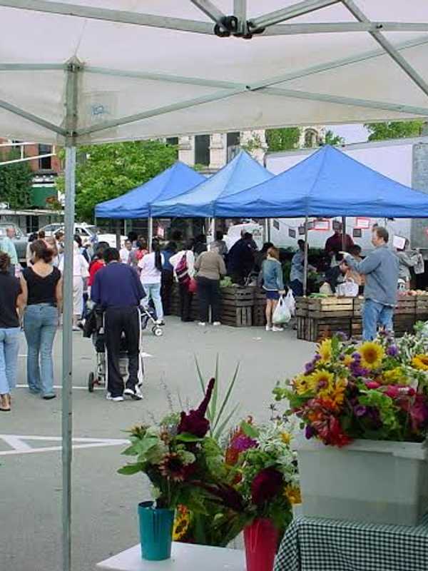 Down To Earth Market Screens Farming Documentary In Ossining