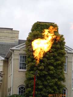 Westport Firefighters Burn Off Leaking Propane