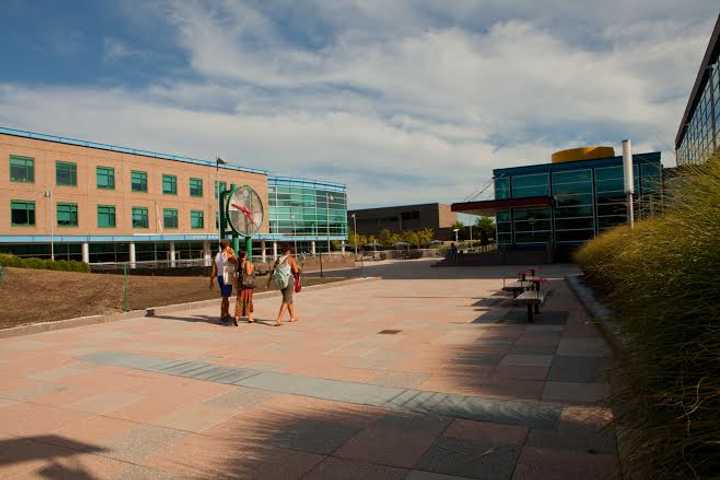 Purchase-SUNY Adds Masters Program That Combines Arts, Entrepreneurship 