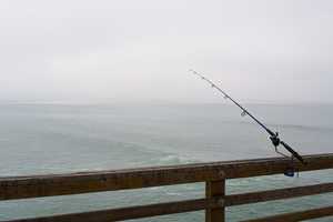 Its Go Time for Snapper Fishing in Norwalk