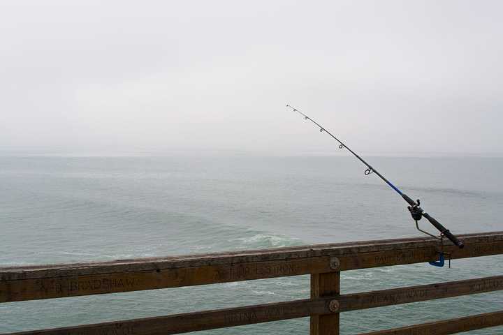 Its Go Time for Snapper Fishing in Norwalk