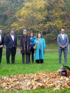Learn About Mulch Mowing At Free Workshops In New Rochelle