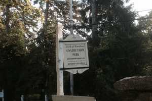 Explore Lewisboro's History With Movie Viewings