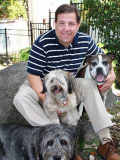 Westchester County Legislator Maisano Takes Aim At Puppy Mills