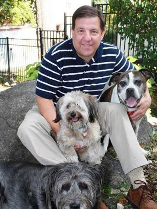 Westchester County Legislator Maisano Takes Aim At Puppy Mills