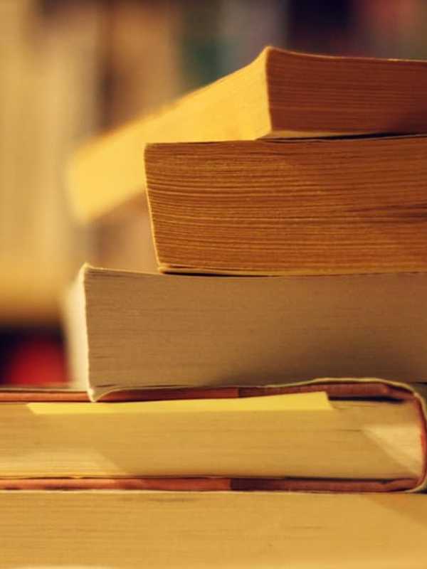 Newtown Library Offers Holiday Book Sale