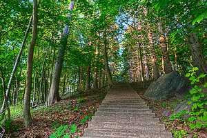 Westchester County Closes Pedestrian Bridge Over Hutch For Repairs