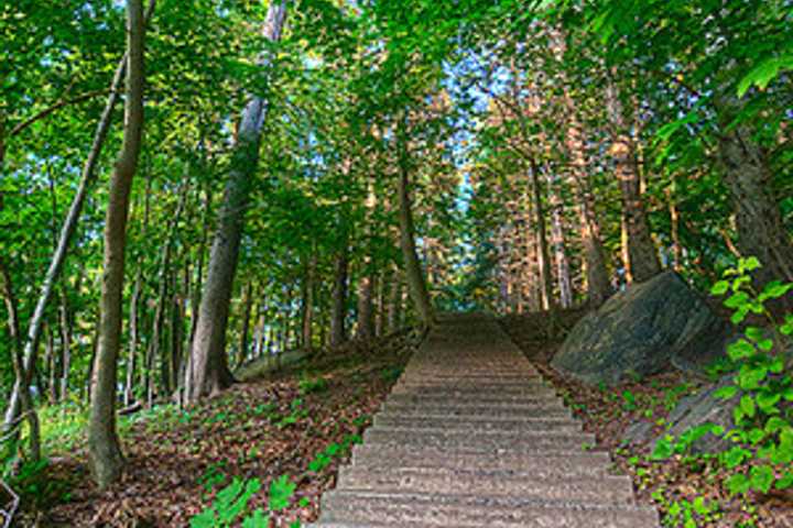 Westchester County Closes Pedestrian Bridge Over Hutch For Repairs