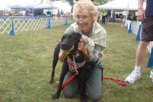 Puttin' On The Dog Festival In Greenwich Promotes Pet Adoption