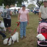 <p>Albert and Oneida Cintron brought their dogs, Beebee and Casper,  from Queens for the Puttin&#x27; On The Dog festival.</p>