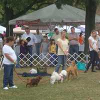 <p>Contests were held all day for dogs to compete based on breed, size, costumes and other attributes.</p>