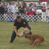 <p>Greenwich Police K9 Unit Officer Mike Macchia and Koda, a K9 dog with the Westport Police Department, during a demonstration.</p>