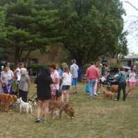 <p>Hundreds of dogs were in the park Sunday, enjoying a chance outside and the opportunity to interact with lots of other dogs.</p>