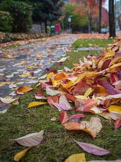 Glen Rock Seeks Volunteers To Help Seniors With 'The Big Sweep'