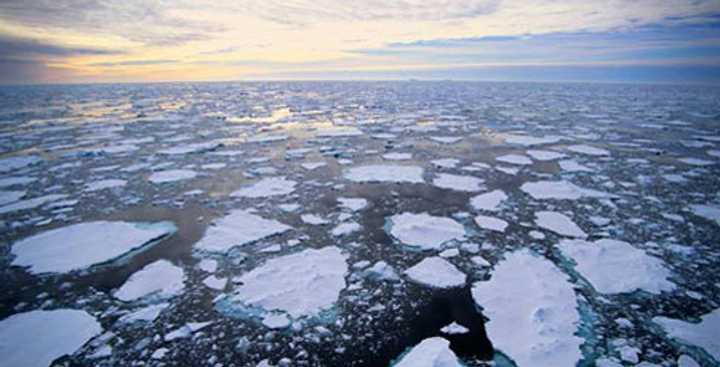 Climate change was addressed by Pace University Law School&#x27;s Center for Environmental Legal  Studies and Federated Conservationists of Westchester County at a day-long conference.