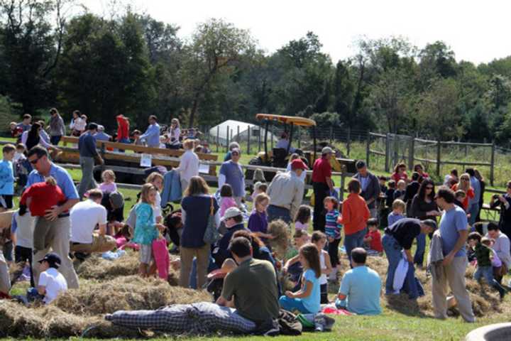 Scarecrow making is one of several activities families can participate in during the 14th annual Ambler Farm Day in Wilton. 