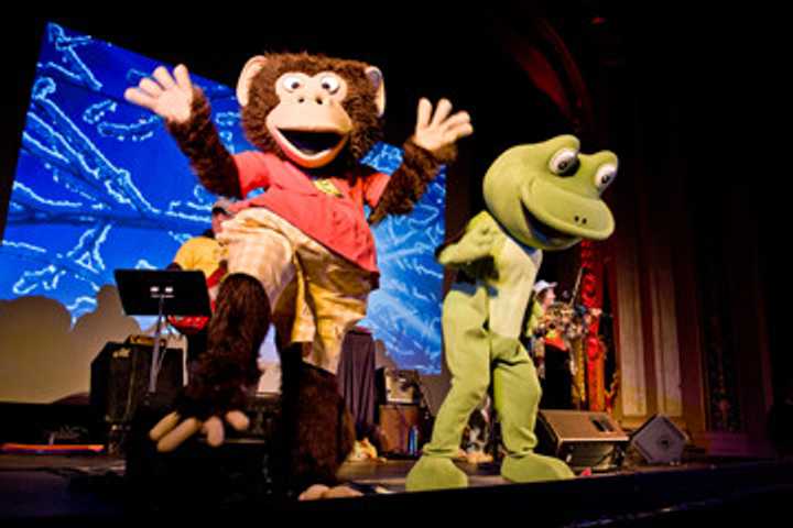 Bossy Frog Band Plays In White Plains On Sept. 27