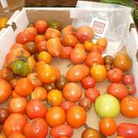 <p>Some of the Ambler Farm produce is on sale Sunday during the Wilton Farm&#x27;s annual fall festival.</p>