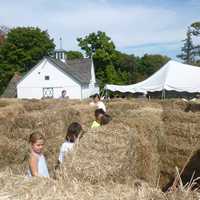 <p>Children walk through the maze at the Ambler Farm fall festival.</p>